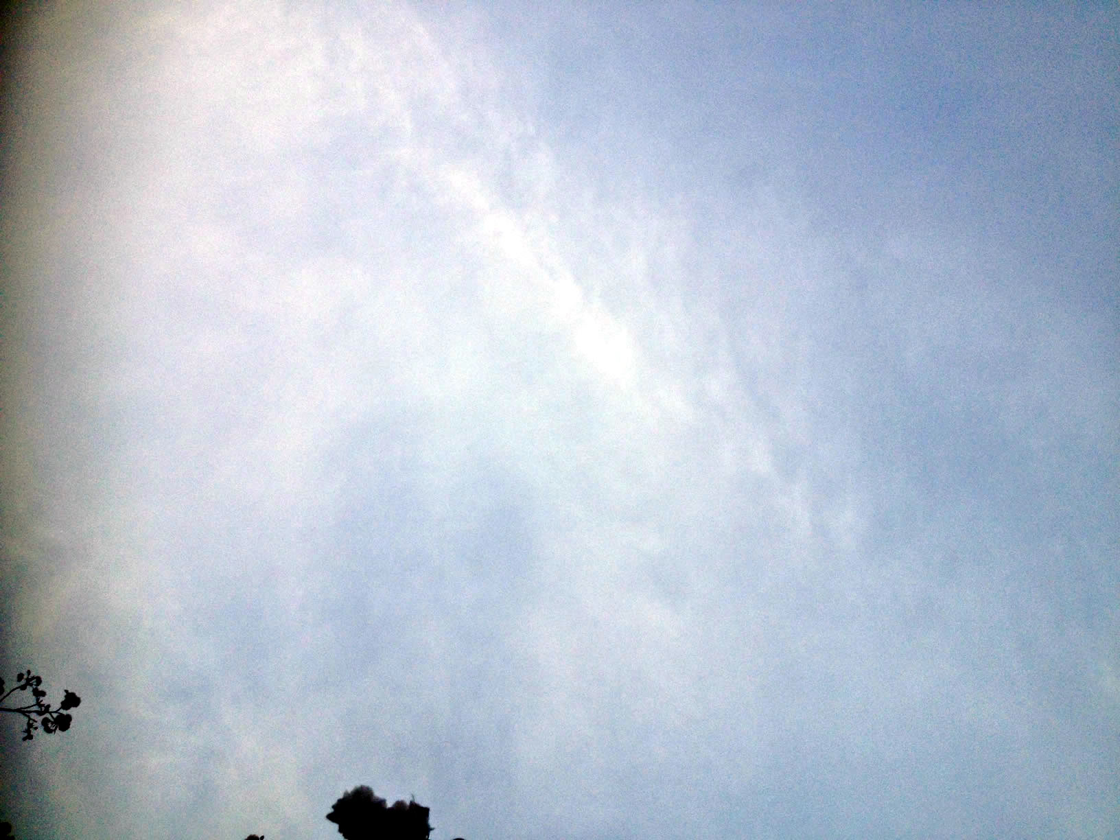 2014年の造幣局桜の通り抜け03 2014年の造幣局桜の通り抜け03